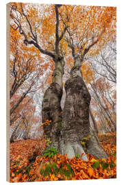 Cuadro de madera Tree Couple - Moqui, Daniela Beyer