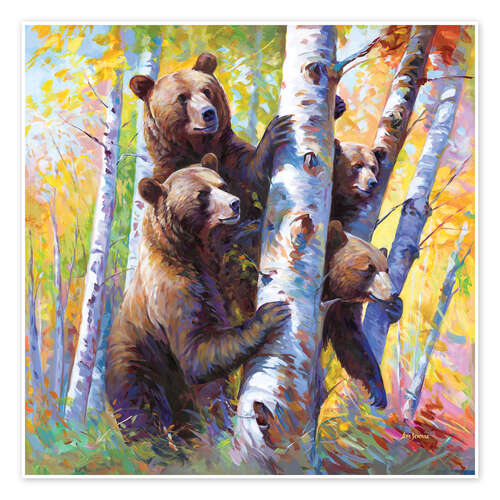 Poster Curious Bears among the birch trees