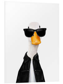 Quadro em PVC Stylish duck - Valeriya Korenkova