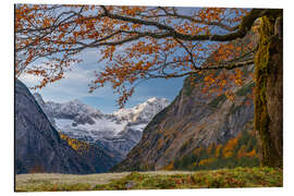 Alubild Unter dem Ahornbaum - Denis Feiner