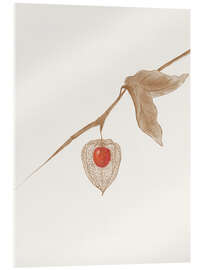 Acrylic print Ground Cherry - CatsAndDotz