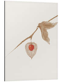 Aluminium print Ground Cherry - CatsAndDotz