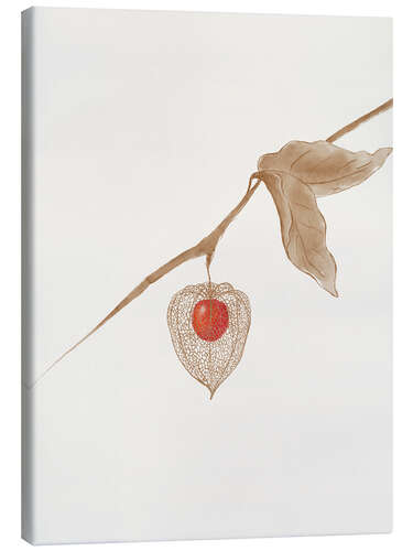 Lienzo Ground Cherry
