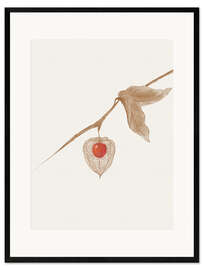 Gerahmter Kunstdruck Erdkirsche
