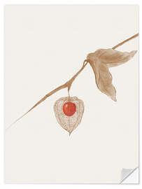 Wandsticker Erdkirsche