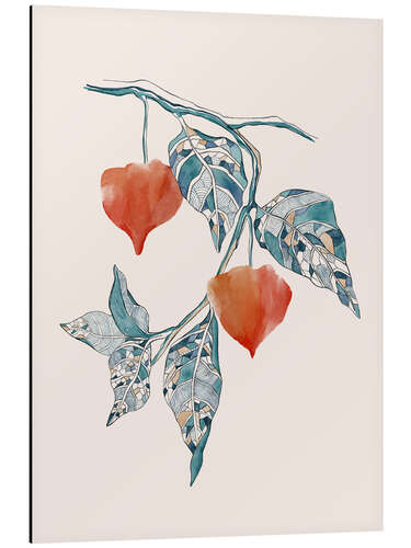 Aluminium print Pshysallis