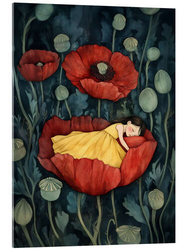 Akrylbilde Poppyfield Dreaming