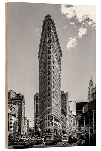 Obraz na drewnie Flatiron Building, New York City