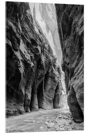Cuadro de metacrilato River in the canyon, Zion National Park - Matteo Colombo