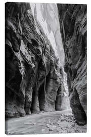 Lienzo River in the canyon, Zion National Park - Matteo Colombo