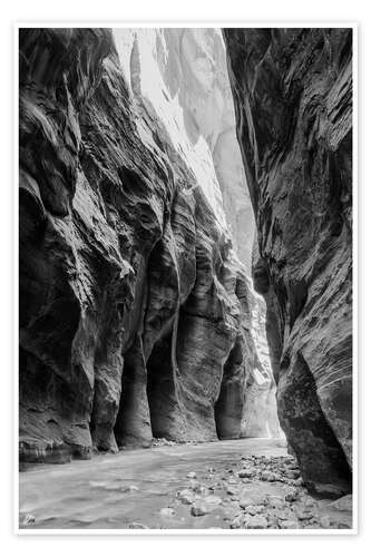 Plakat River in the canyon, Zion National Park