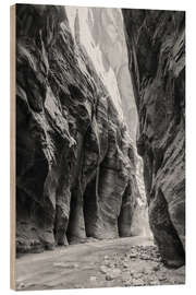 Holzbild Fluss im Canyon, Zion Nationalpark
