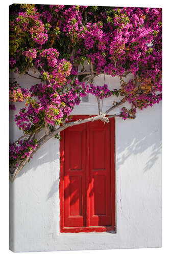 Canvas print Red door in Mykonos, Greece