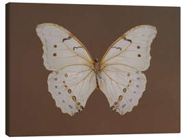 Canvas print Vintage Butterfly - TAlex