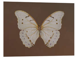 Hartschaumbild Vintage Butterfly