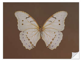 Wandsticker Vintage Butterfly