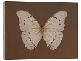 Holzbild Vintage Butterfly