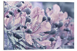 Alubild Flammenbaum - Atteloi