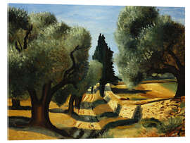 Acrylic print Olive trees in Provence (Oliviers en Provence) - André Derain