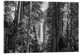 Akryylilasitaulu Waterfall in the forest, Yosemite - Matteo Colombo