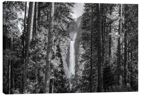 Canvas print Waterfall in the forest, Yosemite