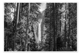 Obraz Waterfall in the forest, Yosemite - Matteo Colombo