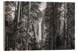 Cuadro de madera Waterfall in the forest, Yosemite - Matteo Colombo