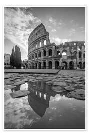 Poster Colosseum at sunrise, Rome, Italy - Matteo Colombo