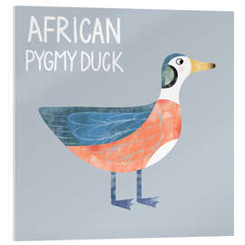 Cuadro de metacrilato African Pygmy Duck - Nic Squirrell