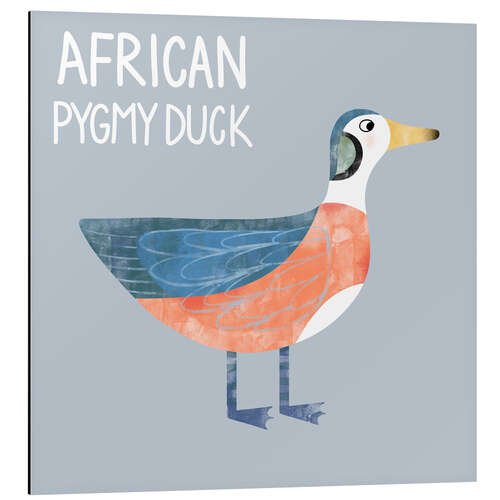 Aluminium print African Pygmy Duck