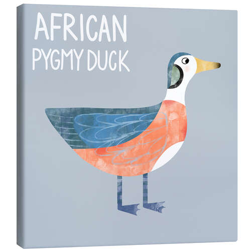 Tableau sur toile African Pygmy Duck