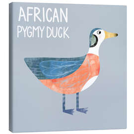 Tableau sur toile African Pygmy Duck - Nic Squirrell
