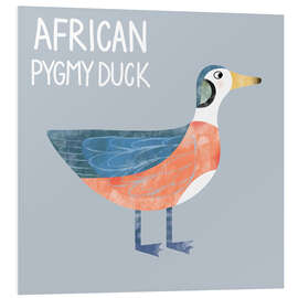 Hartschaumbild African Pygmy Duck - Nic Squirrell