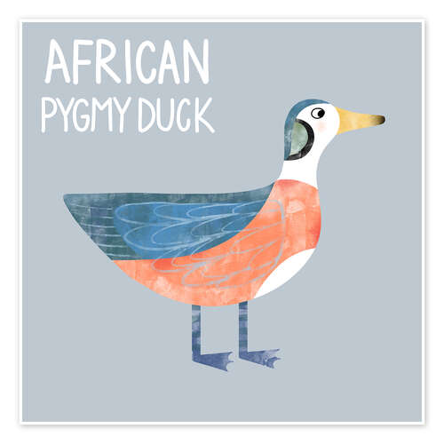 Poster African Pygmy Duck