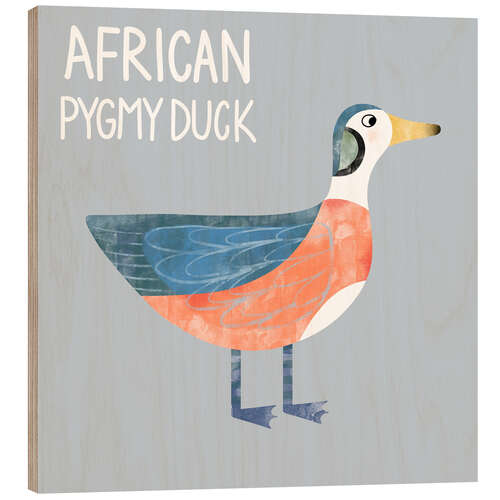 Obraz na drewnie African Pygmy Duck
