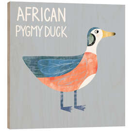 Obraz na drewnie African Pygmy Duck - Nic Squirrell
