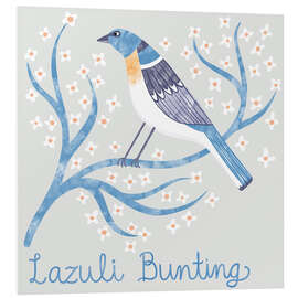 Hartschaumbild Lazuli Bunting