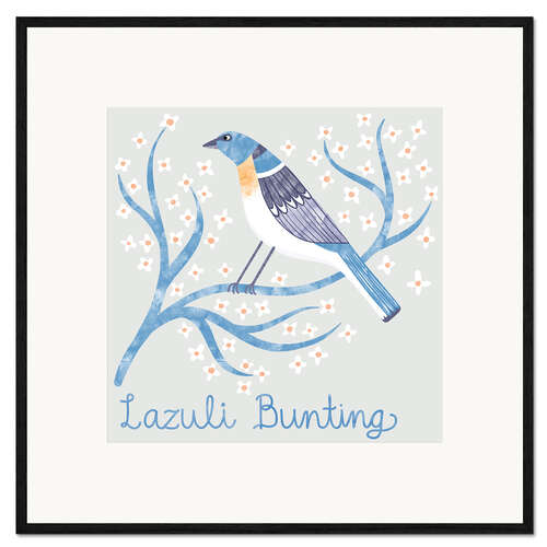 Framed art print Lazuli Bunting