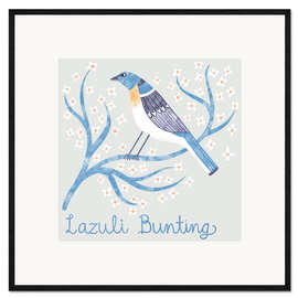 Framed art print Lazuli Bunting - Nic Squirrell