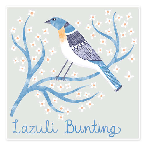 Poster Lazuli Bunting