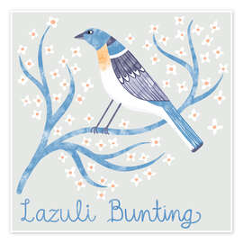 Wall print Lazuli Bunting - Nic Squirrell