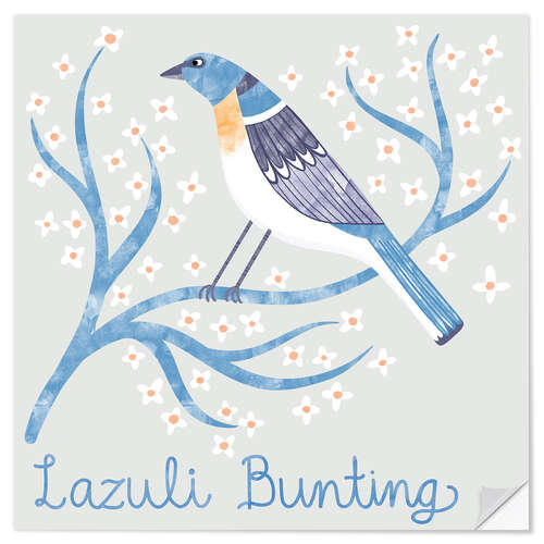 Autocolante decorativo Lazuli Bunting