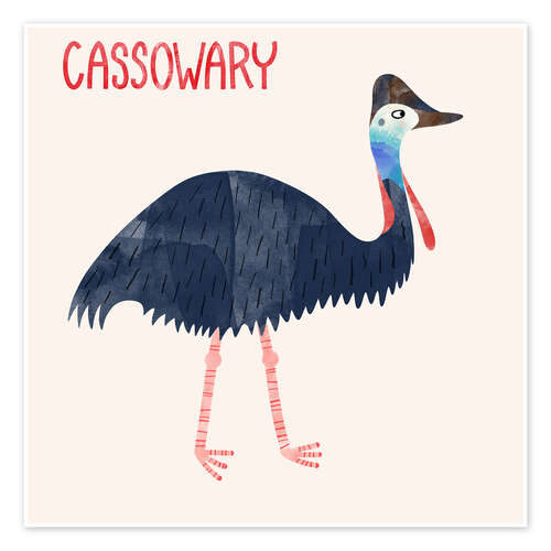 Póster Cassowary