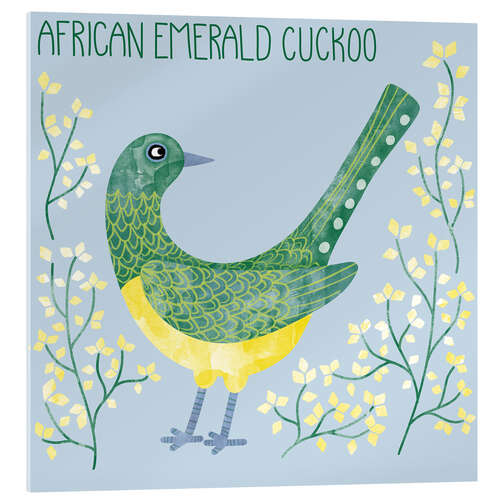 Acrylic print African Emerald Cuckoo
