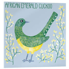 Acrylic print African Emerald Cuckoo - Nic Squirrell