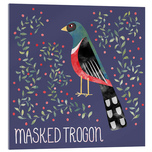 Cuadro de metacrilato Masked Trogon