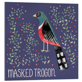Cuadro de metacrilato Masked Trogon - Nic Squirrell