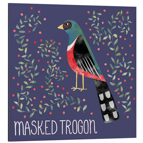 Aluminium print Masked Trogon