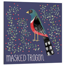 Aluminium print Masked Trogon - Nic Squirrell