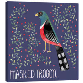 Tableau sur toile Masked Trogon - Nic Squirrell
